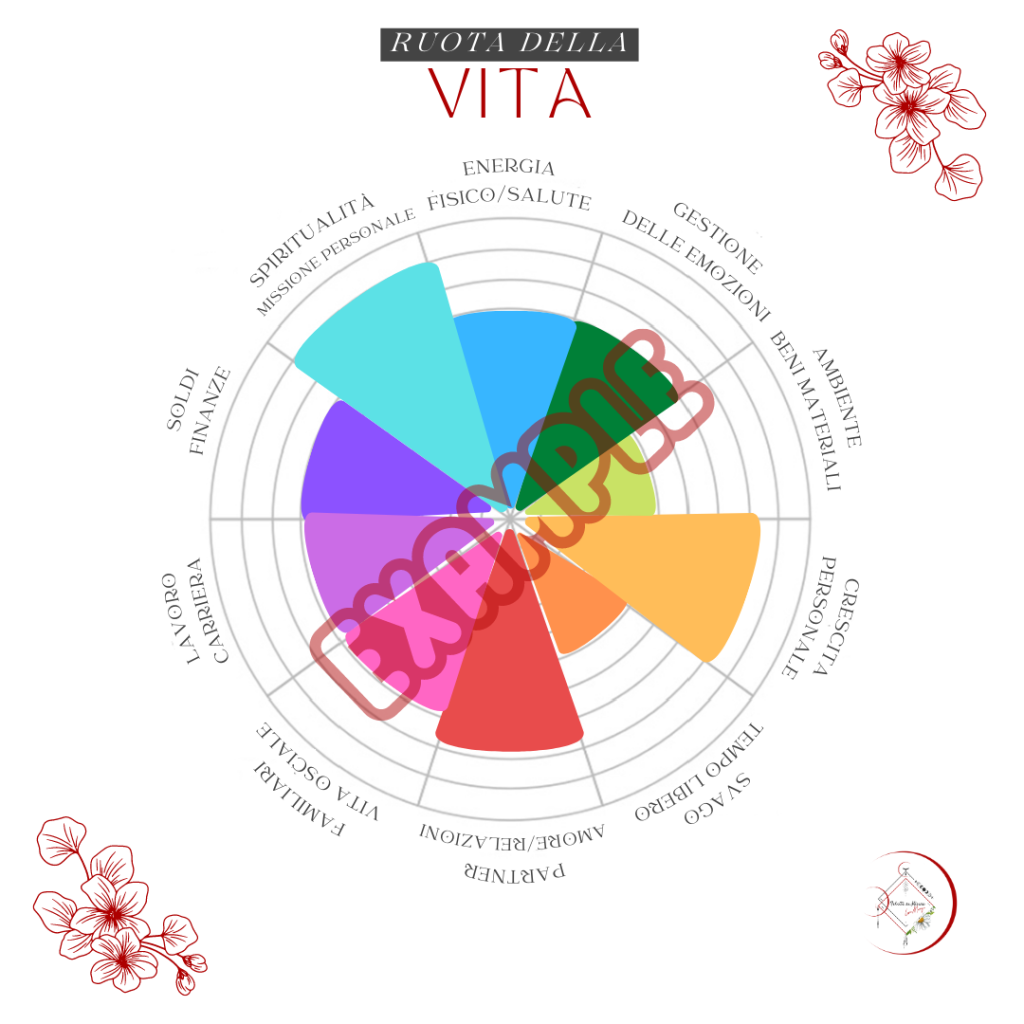 Esempio di Ruota della Vita compilata